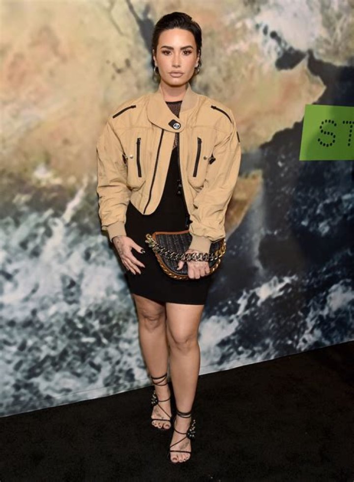 Demi Lovato in Bathing Suit Has "Dream Come True" — Celebwell