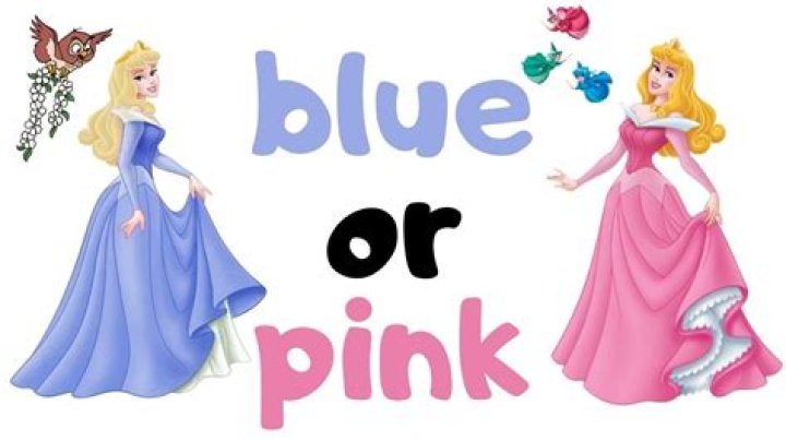Does Sleeping Beauty wear blue or pink? – Celebrity