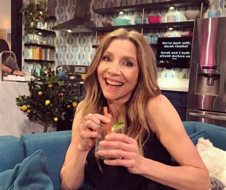 
How Much Money Does Sarah Chalke Make? Latest Income Salary
