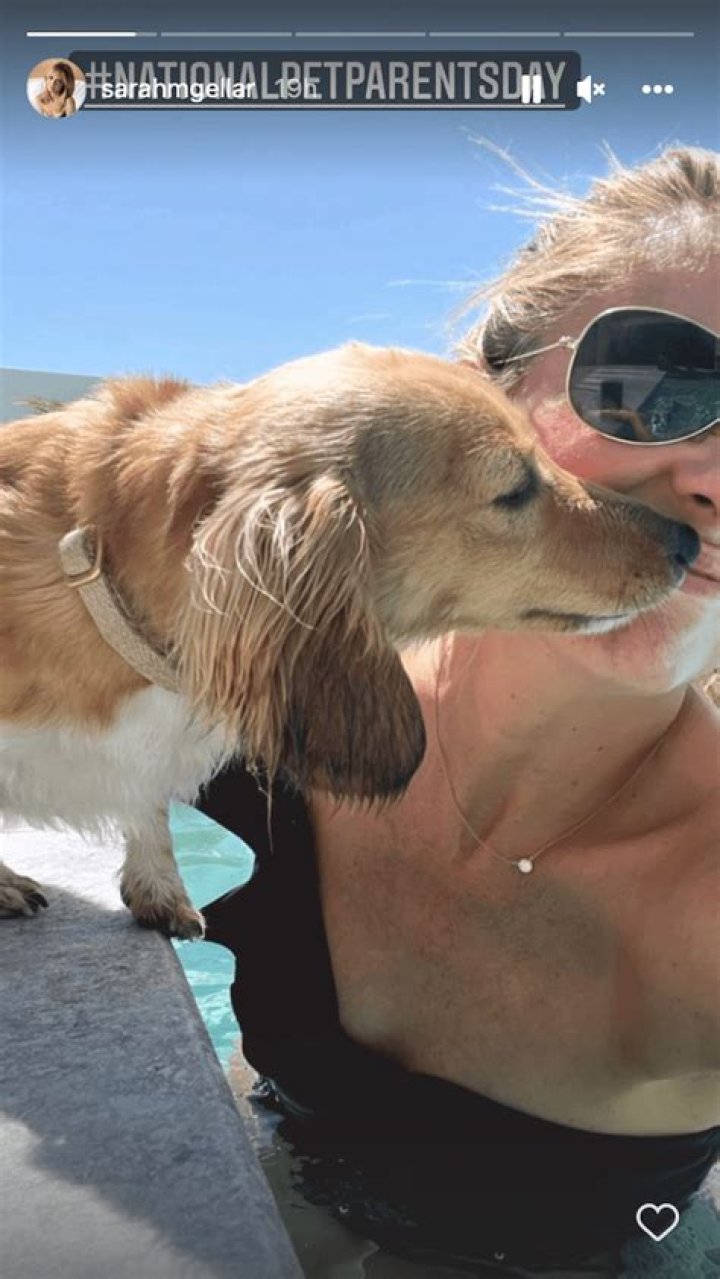 Sarah Michelle Gellar in Bathing Suit is a "Pet Parent" — Celebwell