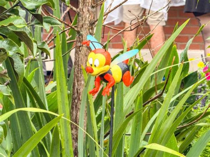 Who is Spike the bee? – Celebrity